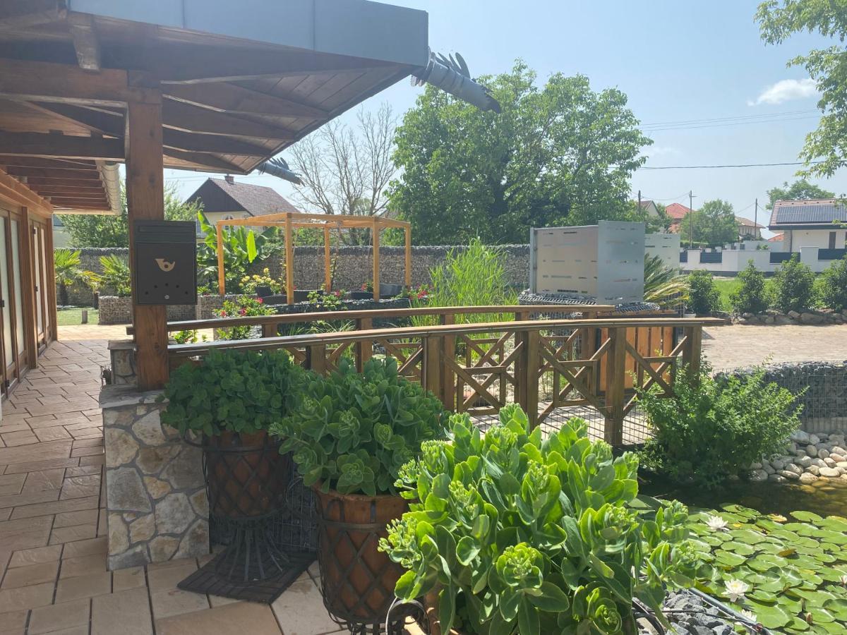 Oazis Panzio Bed & Breakfast Gyenesdiás Екстериор снимка